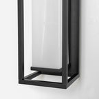 Applique Extérieur LED Cage 50 cm