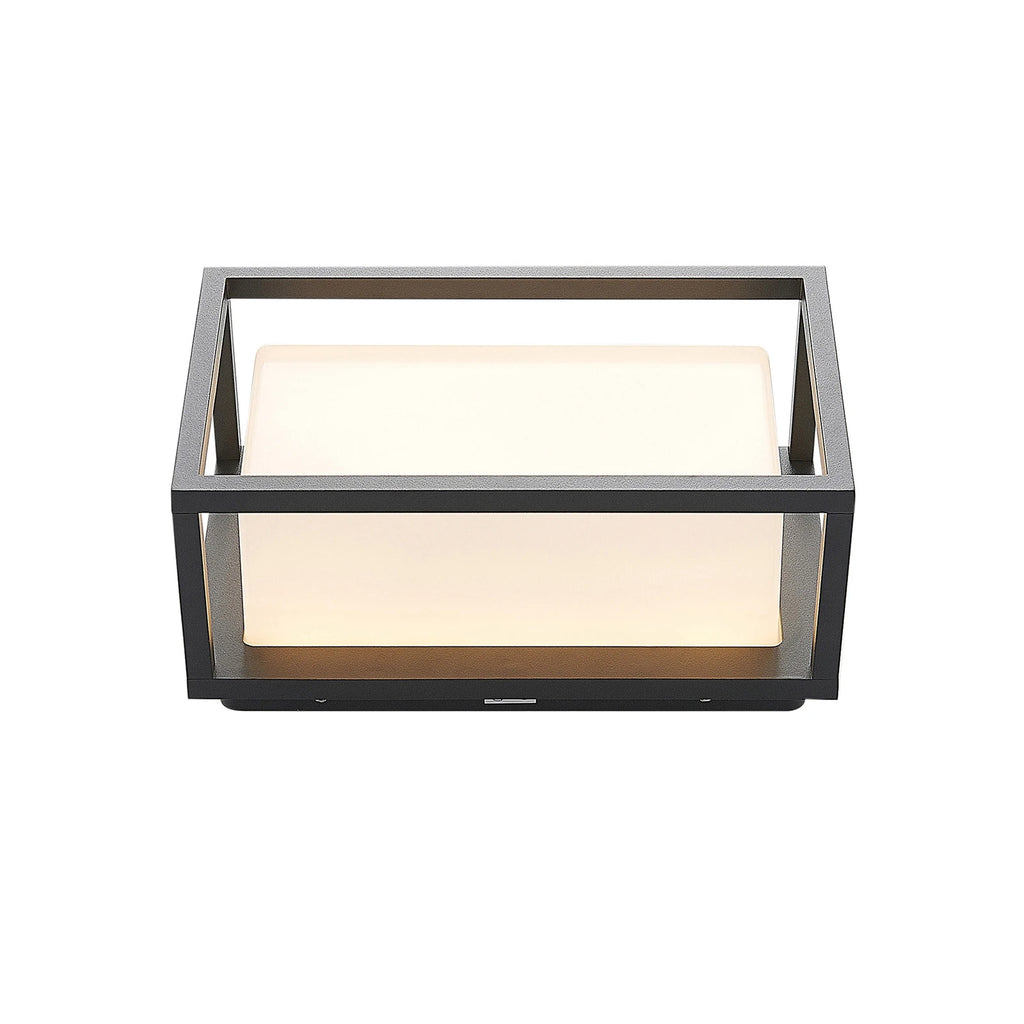 Applique Extérieur LED Cadre Graphite Diffuseur Satiné IP54