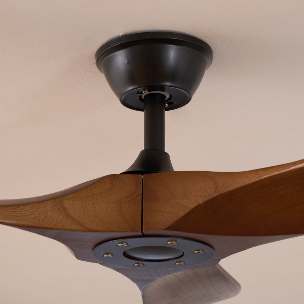 Ventilateur de plafond moderne Toke en Grain bois noyer et noir