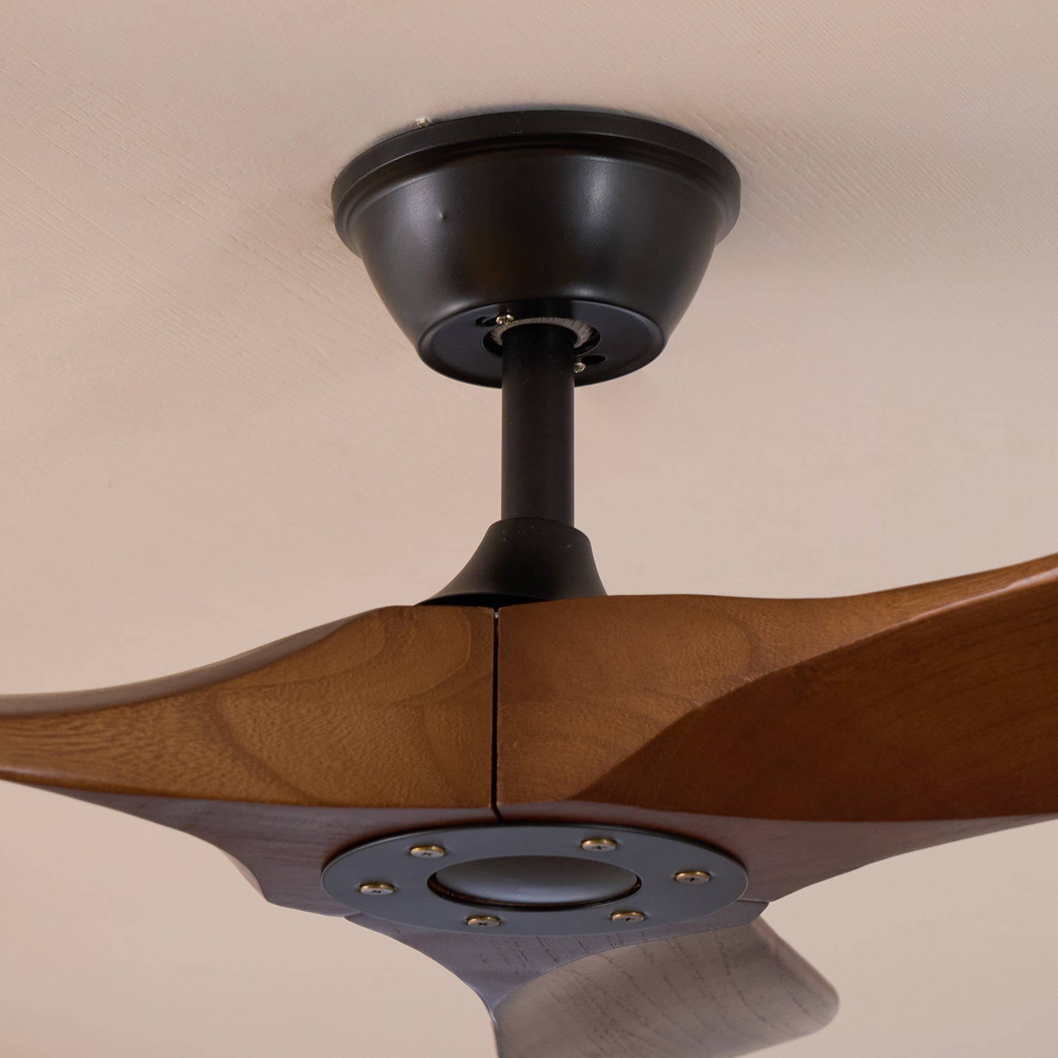 Ventilateur de plafond moderne Toke en Grain bois noyer et noir
