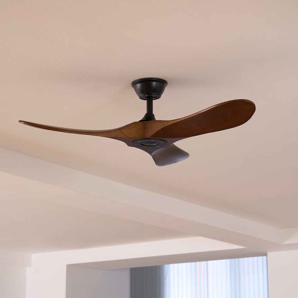 Ventilateur de plafond moderne Toke en Grain bois noyer et noir