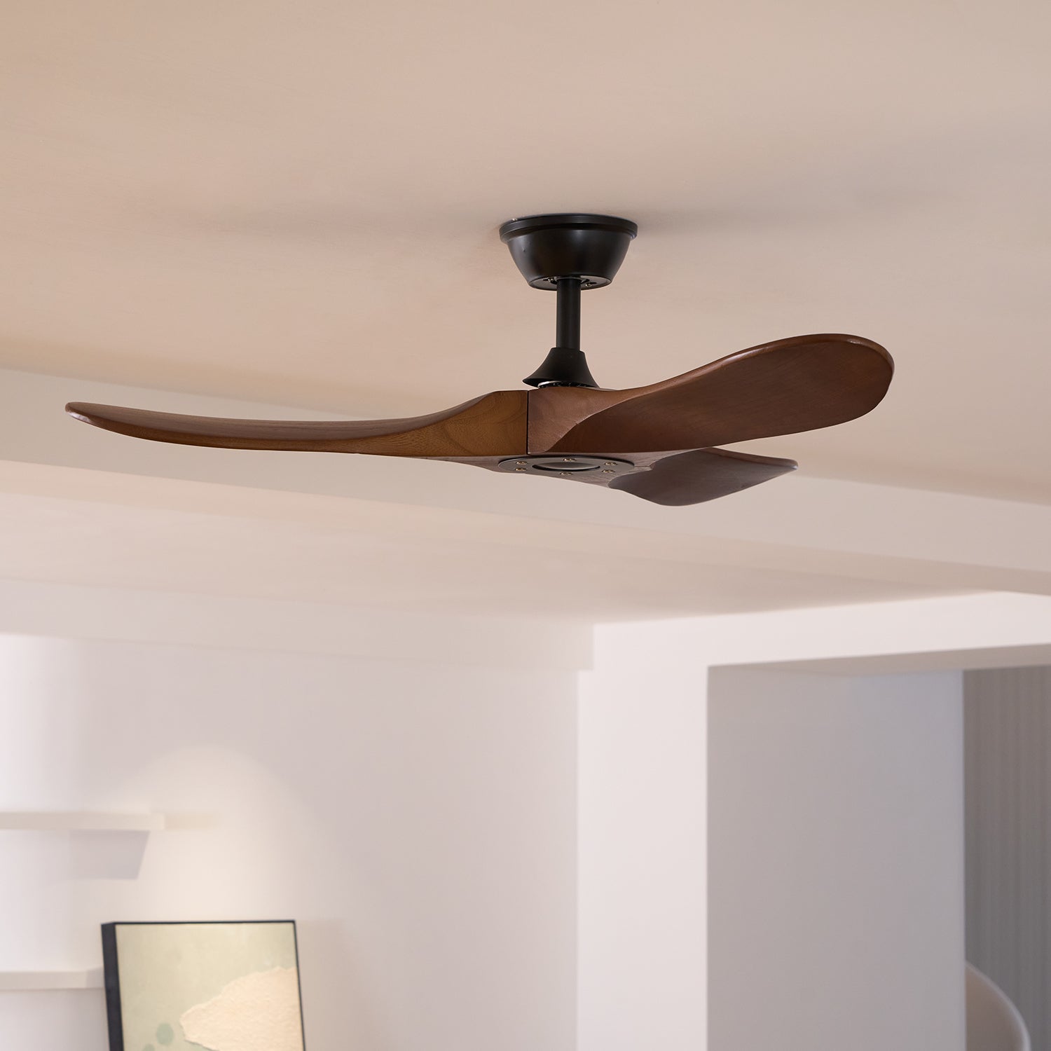 Ventilateur de plafond moderne Toke en Grain bois noyer et noir