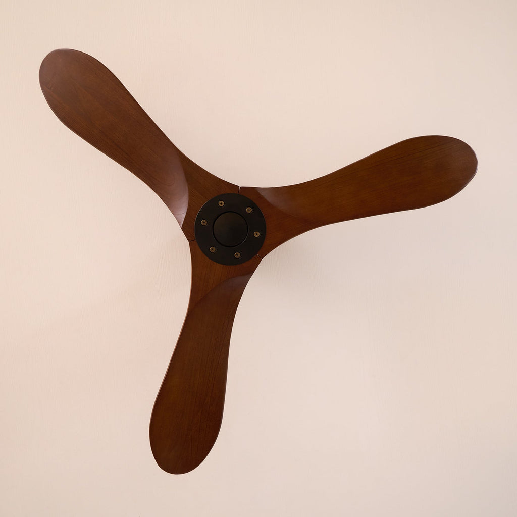 Ventilateur de plafond moderne Toke en Grain bois noyer et noir