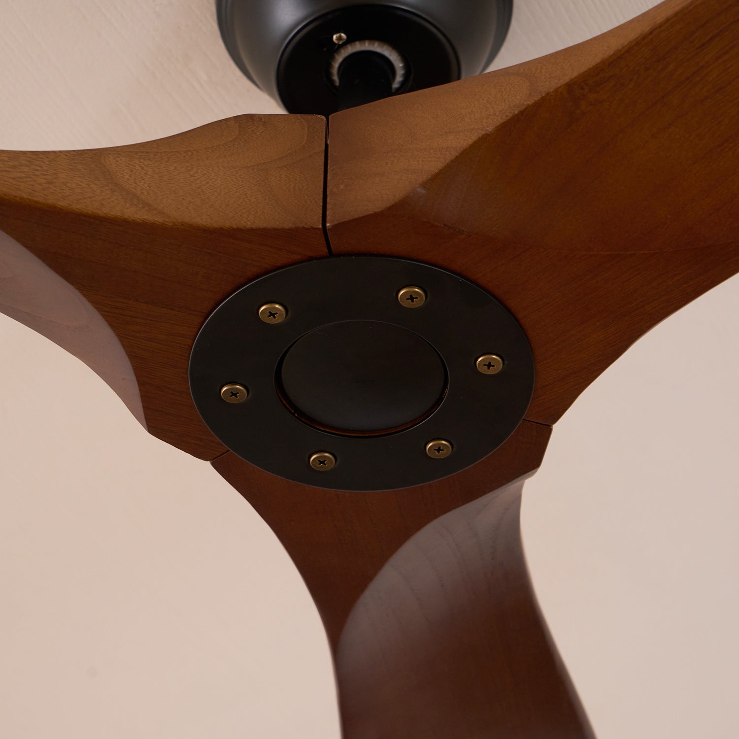 Ventilateur de plafond moderne Toke en Grain bois noyer et noir