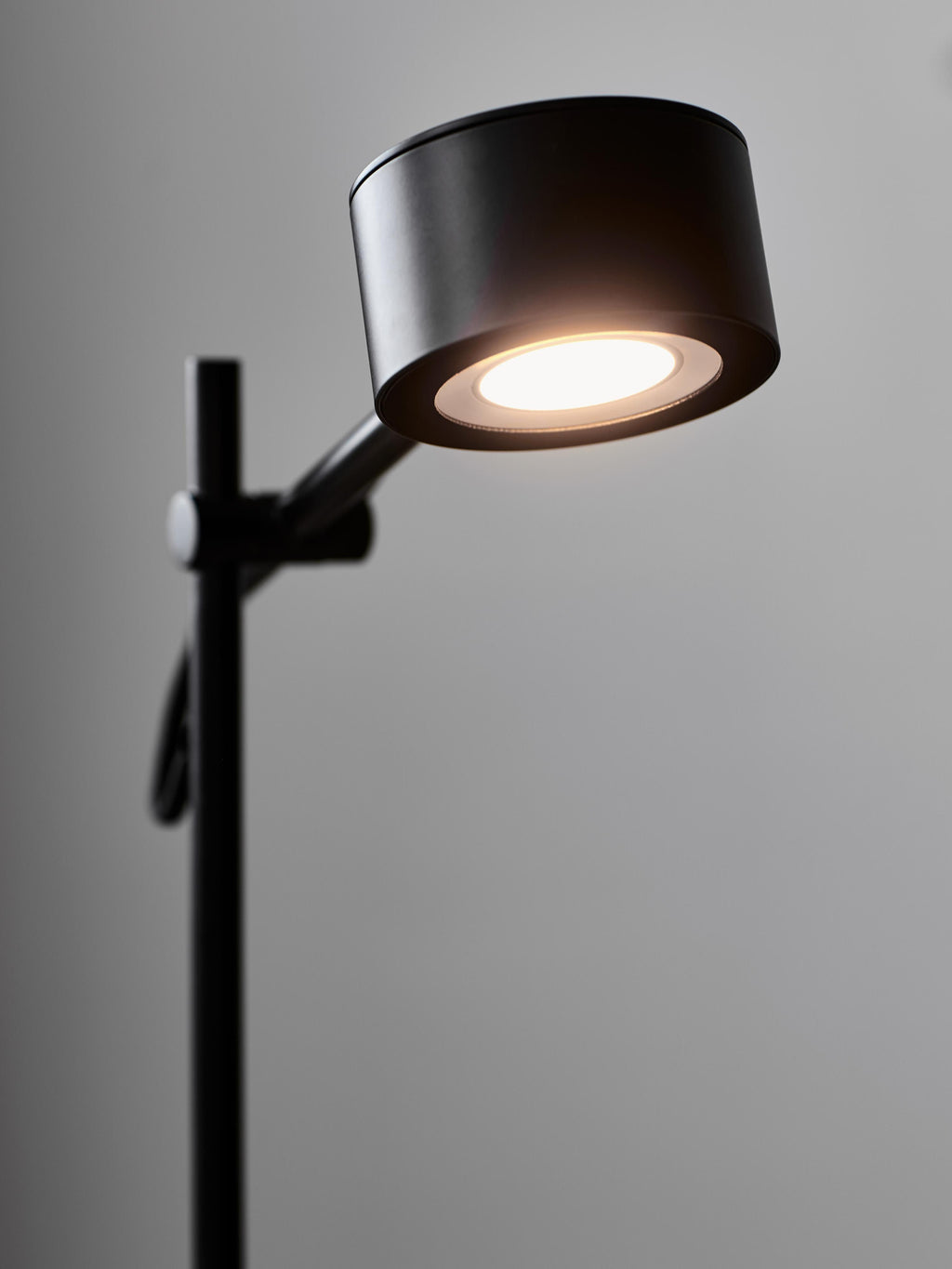 Lampe de bureau LED Auberon, intensité ajustable - Luminaire, câble : noir
Tamiseur : blanc, translucide