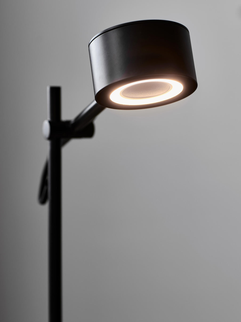 Lampe de bureau LED Auberon, intensité ajustable - Luminaire, câble : noir
Tamiseur : blanc, translucide