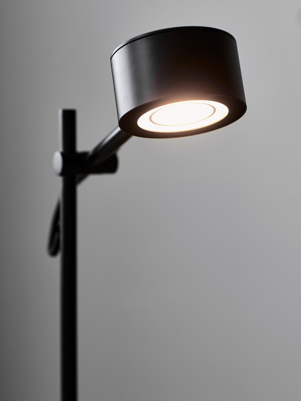 Lampe de bureau LED Auberon, intensité ajustable - Luminaire, câble : noir
Tamiseur : blanc, translucide