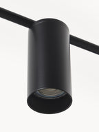 Grande suspension Galton - Noir