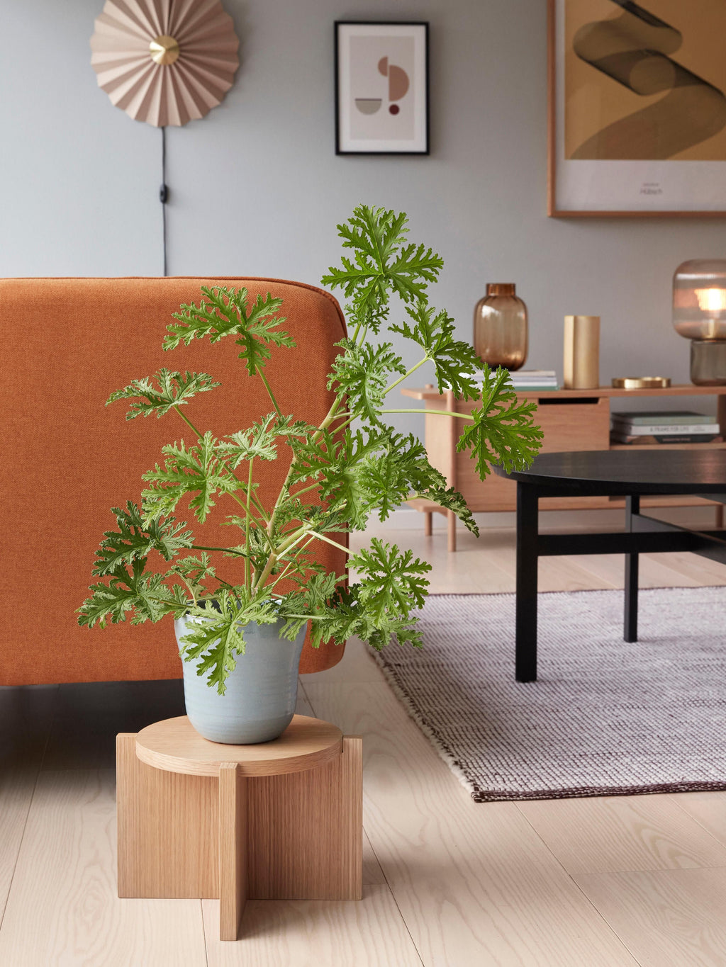 Applique murale en papier avec prise secteur Demond - Beige, laiton