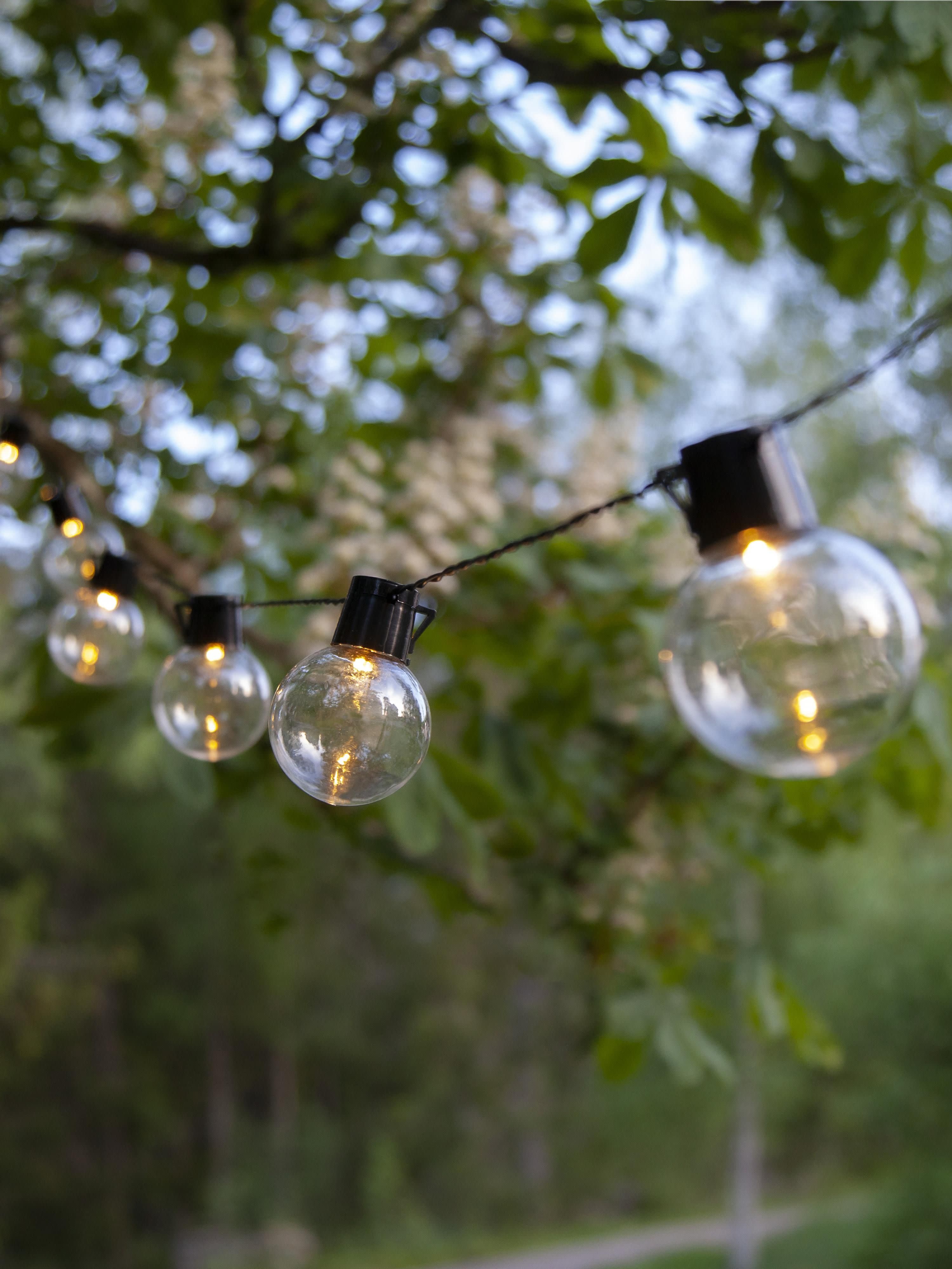 Guirlande lumineuse LED d'extérieur Zain, 950 cm - Transparent, noir