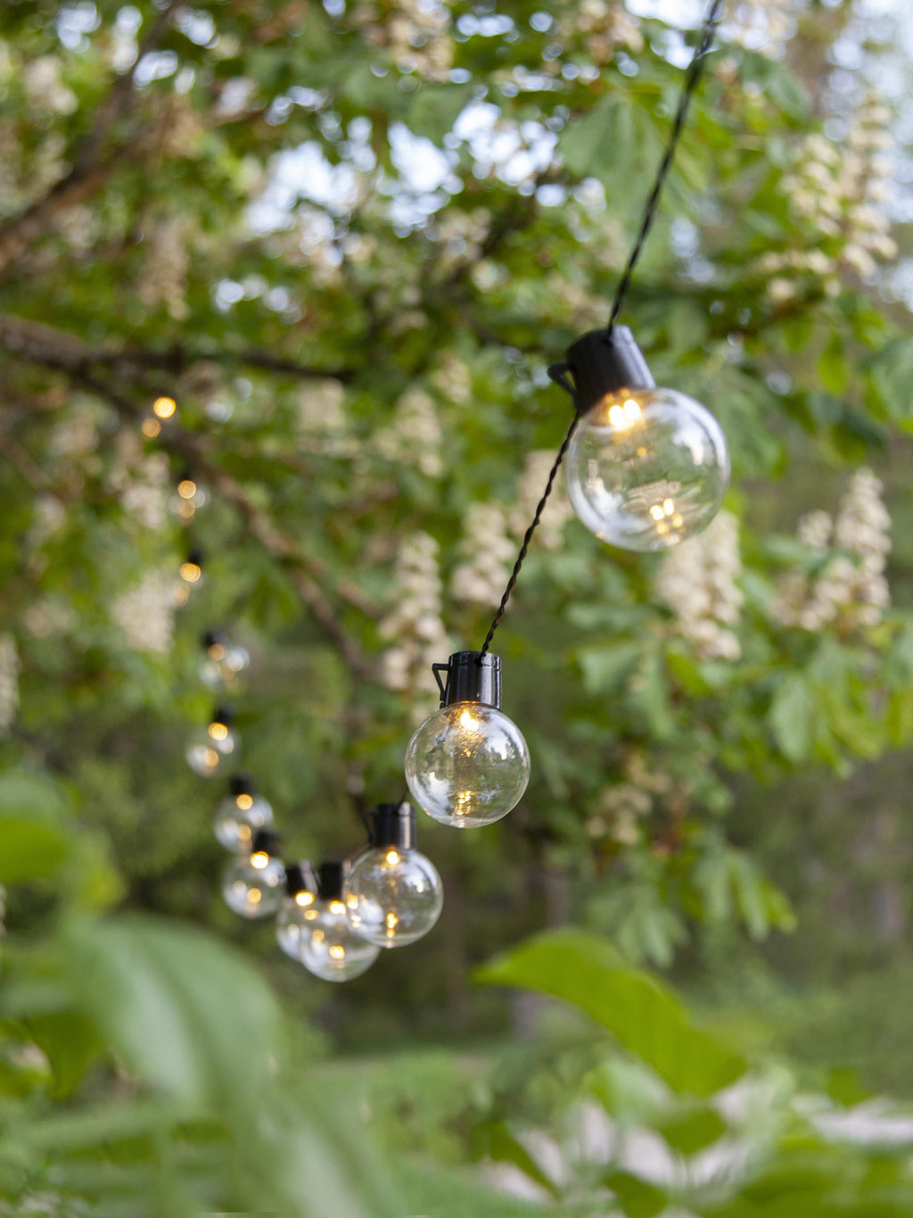 Guirlande lumineuse LED d'extérieur Zain, 950 cm - Transparent, noir