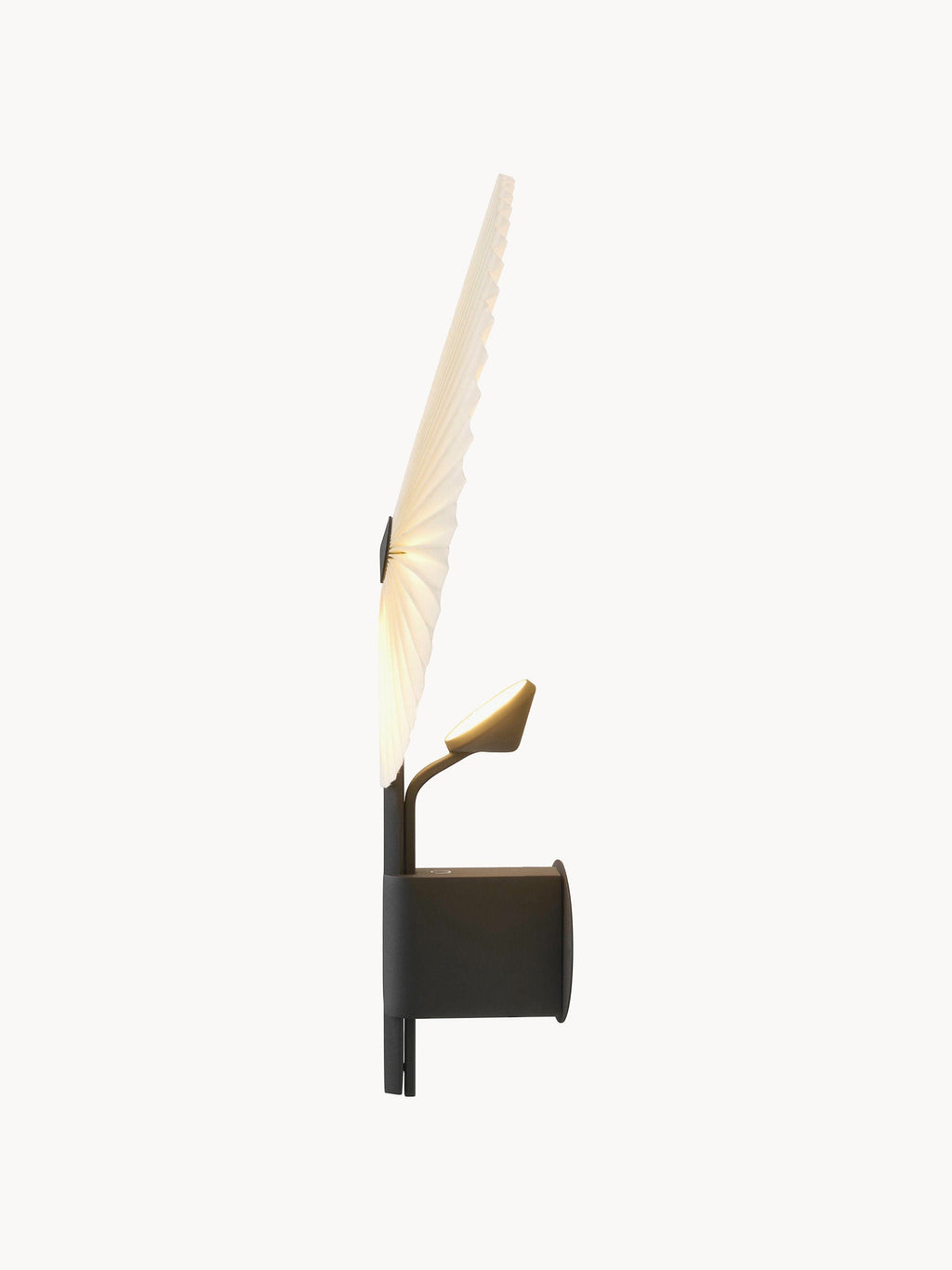 Grande applique murale LED Tobin, intensité ajustable - Blanc, noir