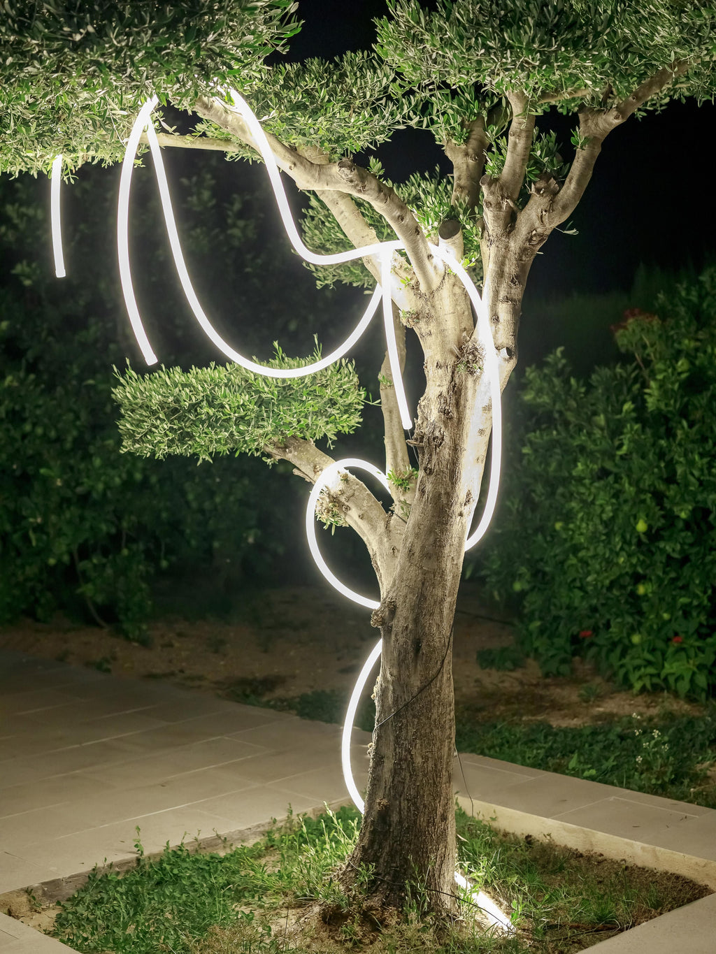 Guirlande lumineuse LED d'extérieur Marsden - Blanc