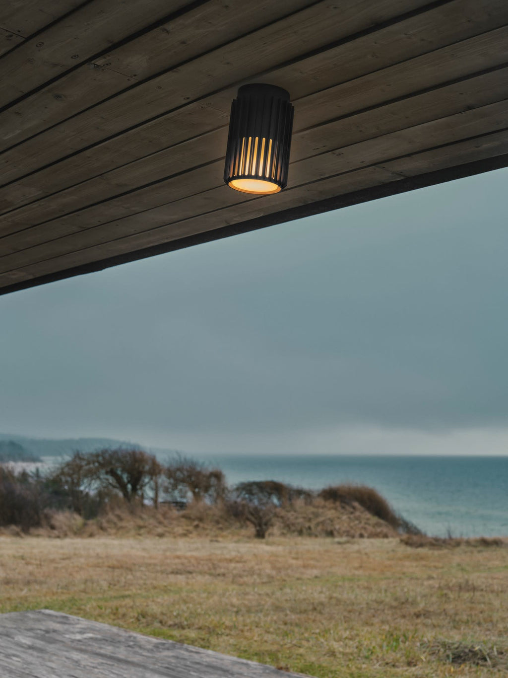 Plafonnier d'extérieur LED Fritz - Noir