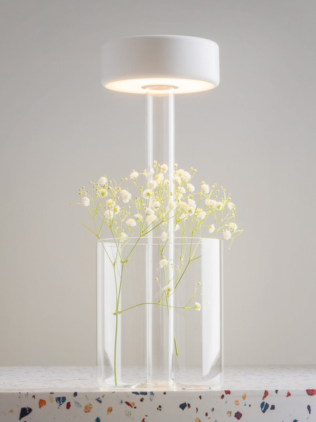 Petite lampe à poser LED à intensité variable Reed - Transparent