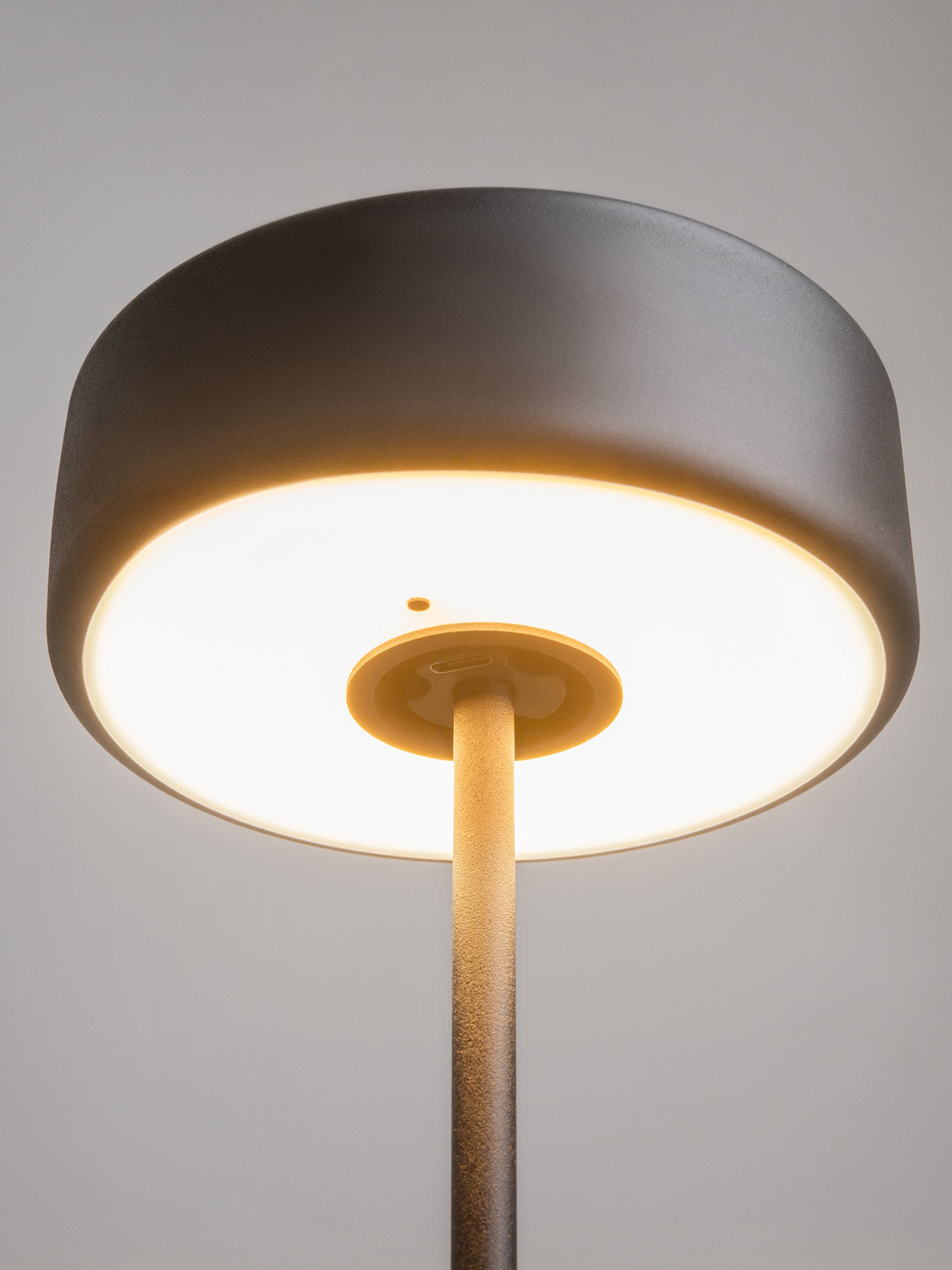 Petite lampe à poser LED en métal Reed, intensité lumineuse variable - Noir