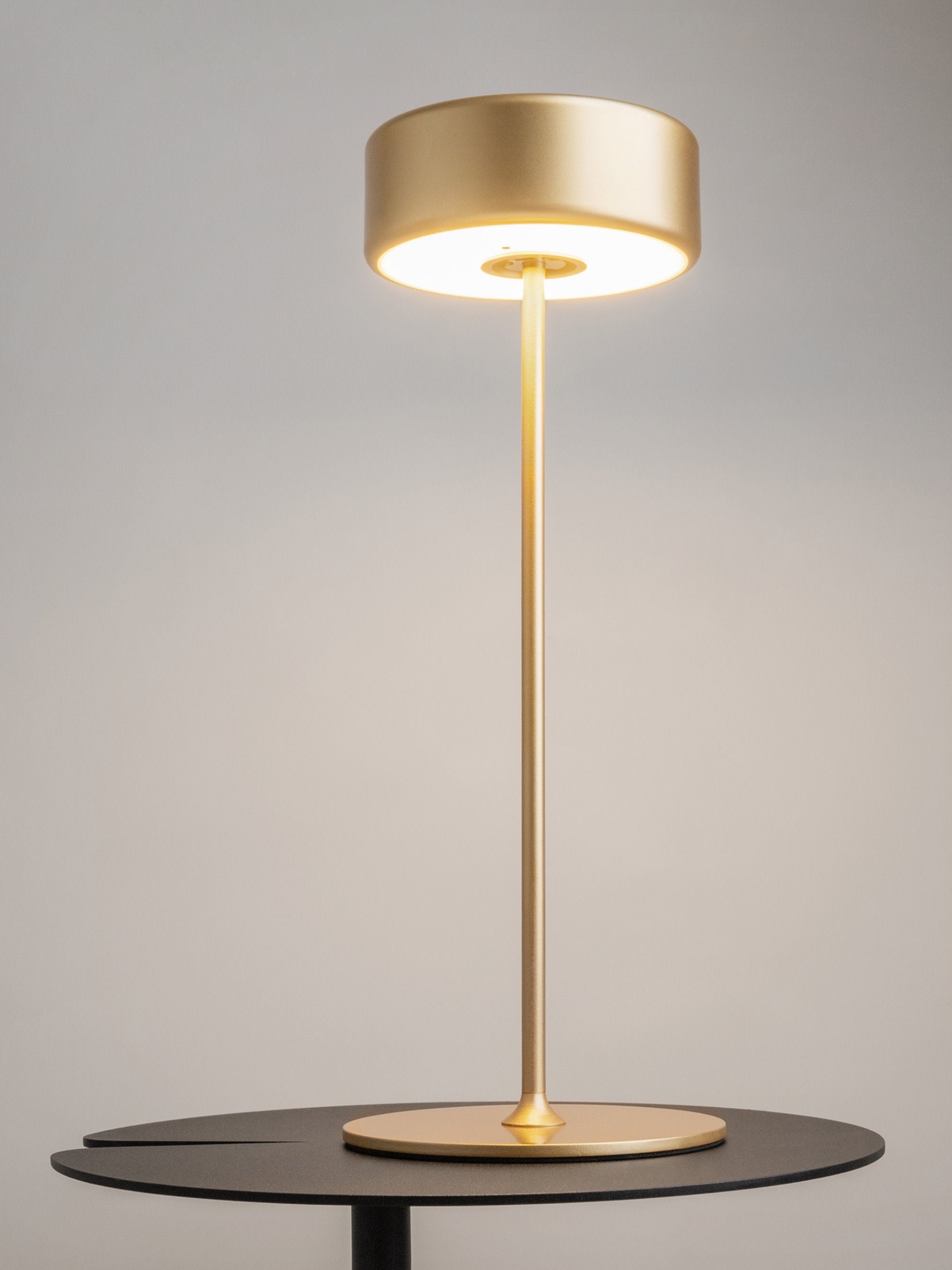 Petite lampe à poser LED en métal Reed, intensité lumineuse variable - Doré