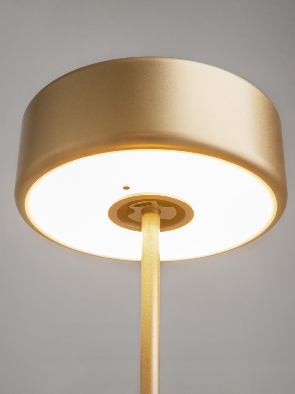 Petite lampe à poser LED en métal Reed, intensité lumineuse variable - Doré