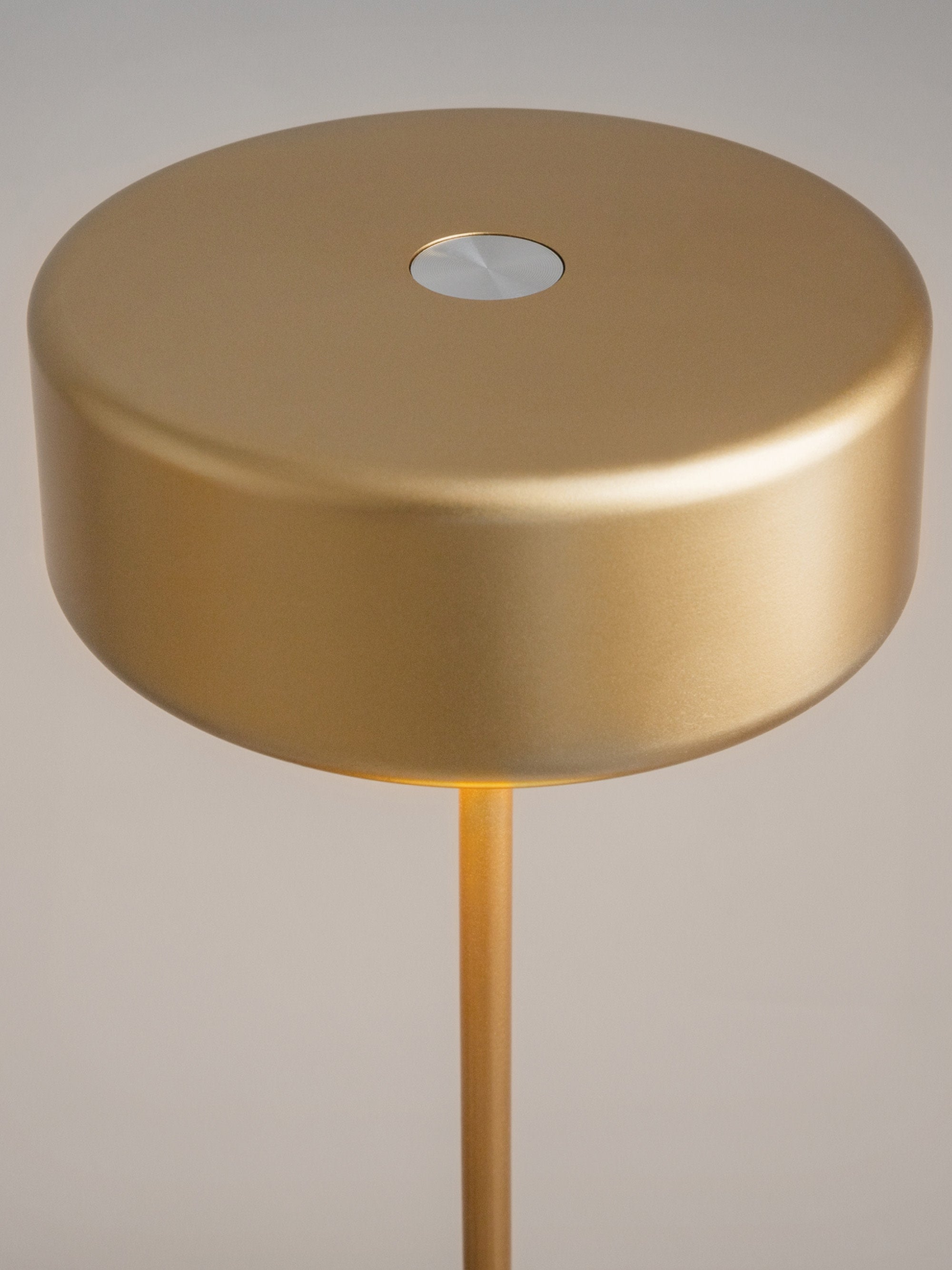 Petite lampe à poser LED en métal Reed, intensité lumineuse variable - Doré