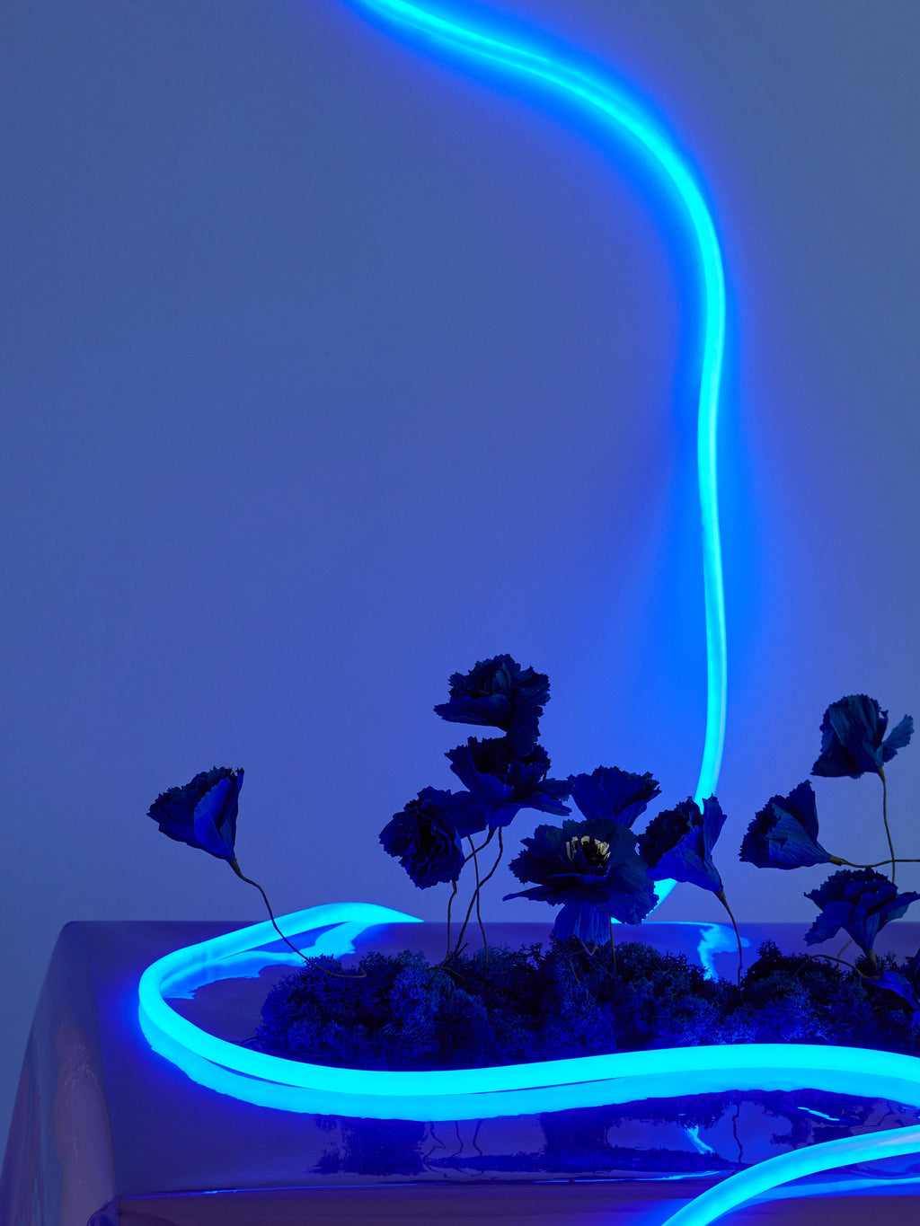 Guirlande lumineuse LED à intensité variable Enar - Bleu