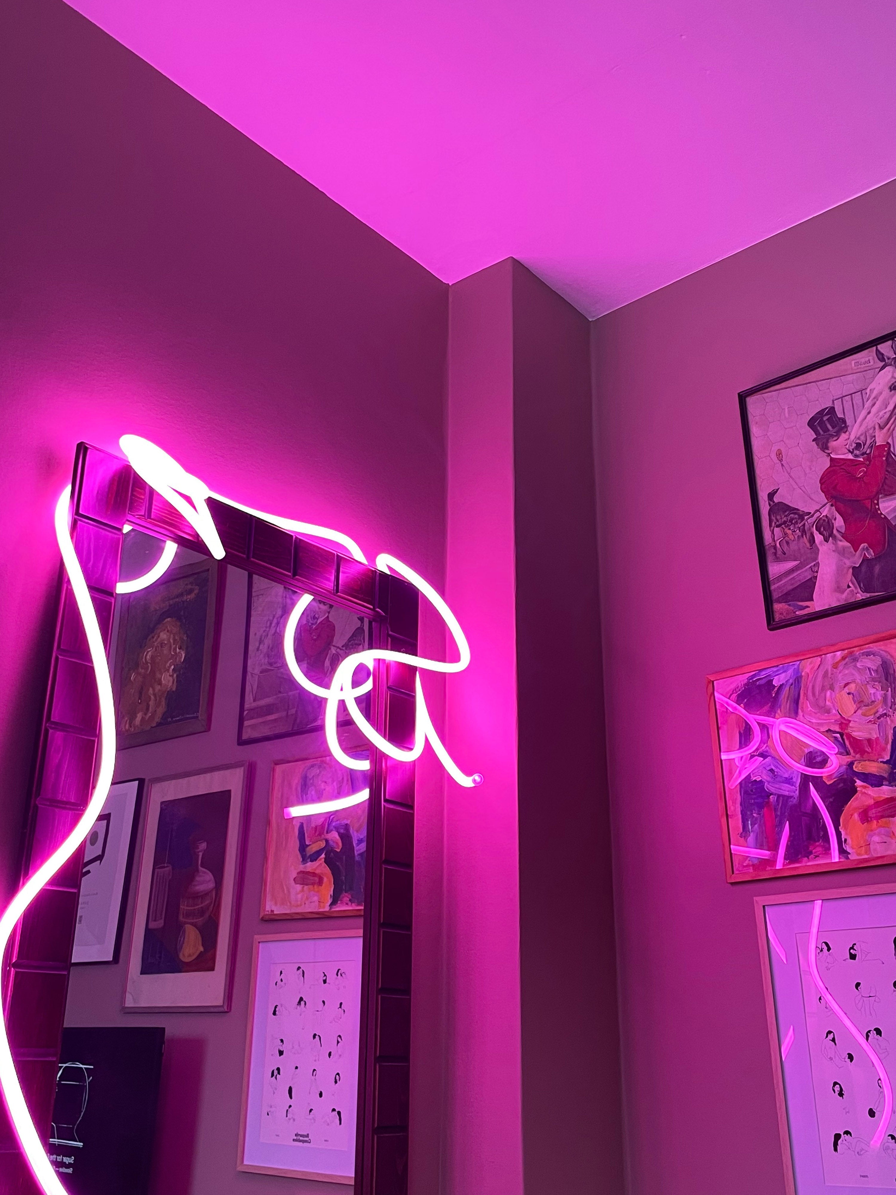 Guirlande lumineuse LED à intensité variable Enar - Rose