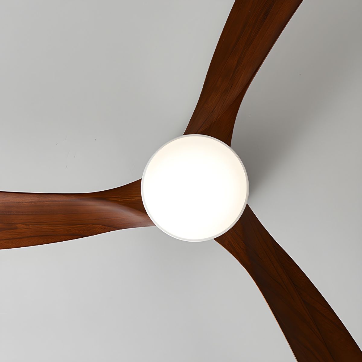 Ventilateur de plafond moderne Tarben en Noir et noyer bois