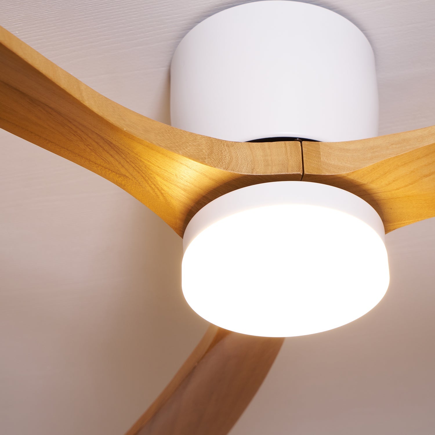 Ventilateur de plafond moderne Tarben en Noir et noyer bois