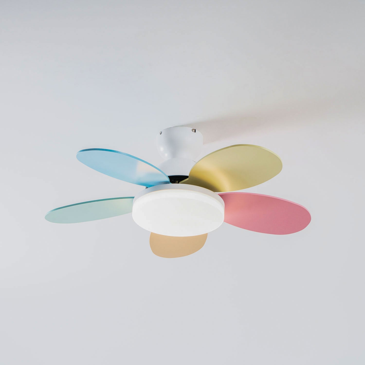 Ventilateur de plafond moderne Berndt en Bois