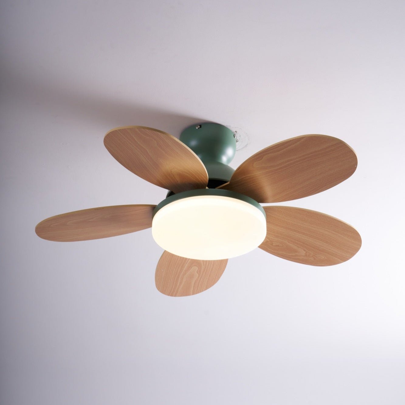 Ventilateur de plafond moderne Berndt en Bois