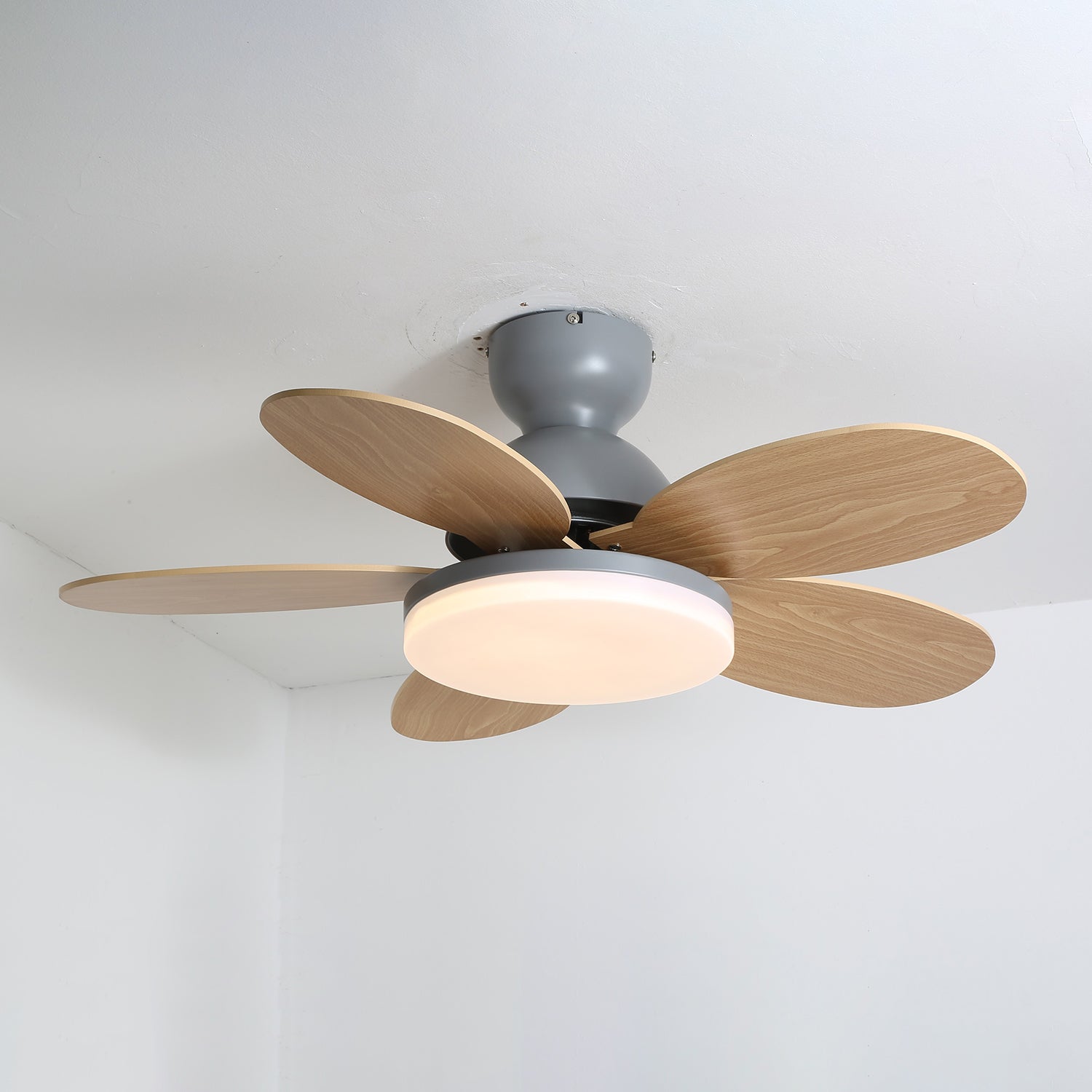 Ventilateur de plafond moderne Berndt en Bois