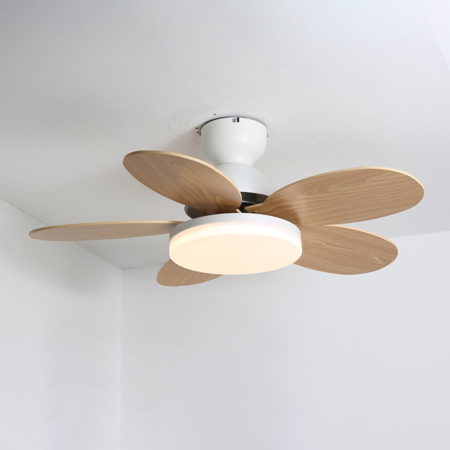 Ventilateur de plafond moderne Berndt en Bois