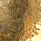 Applique murale moderne Kveld en Verre Doré