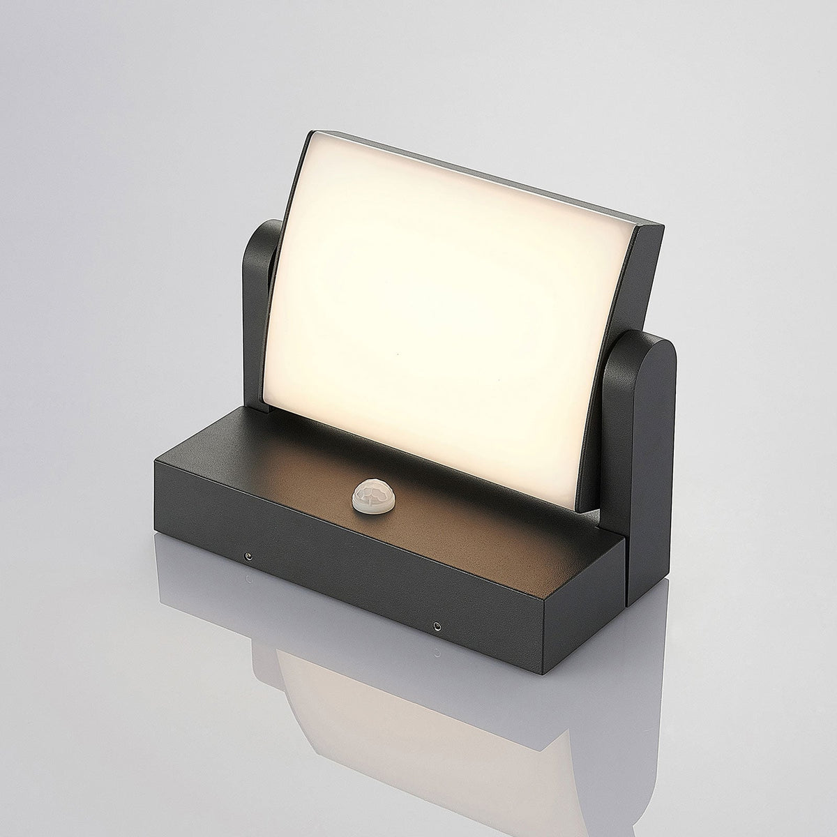 Applique Extérieur LED Orientable avec Détecteur — mise en situation