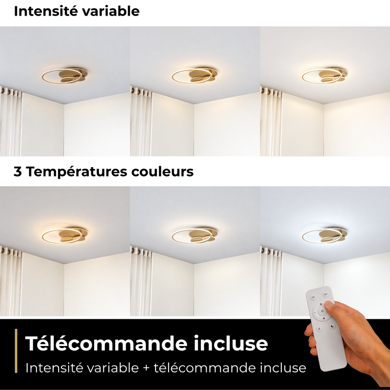 Remote control and dimmer