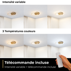 Auréa — intensité 10, 50, 100 % et températures 3000, 4000, 6000 K en scène nocturne