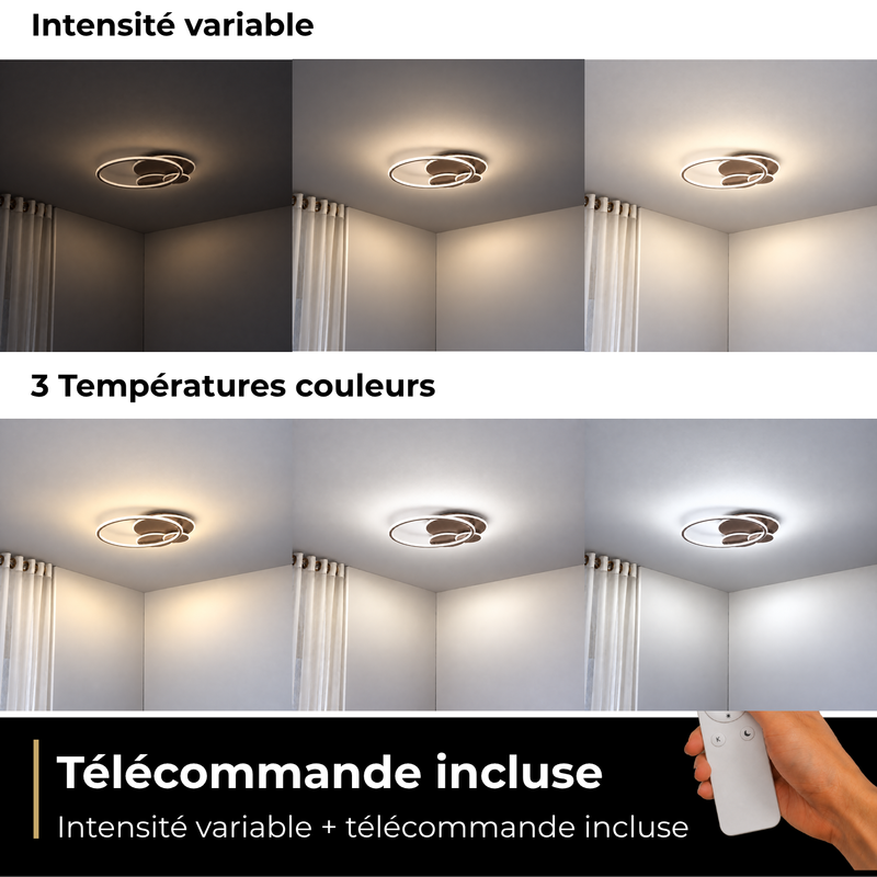 Télécommande et variateur