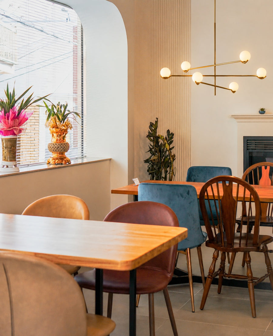 The Baer in a café
