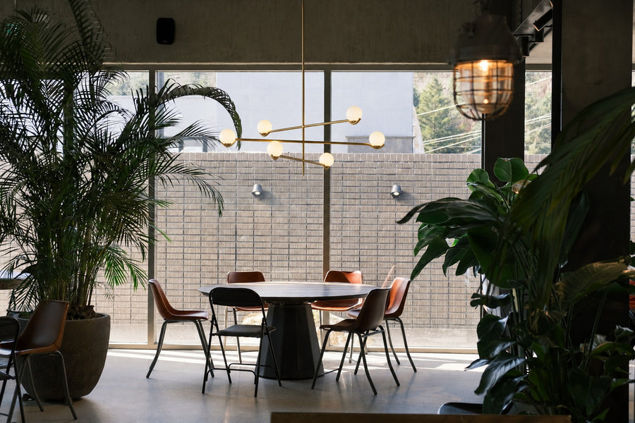 The Baer in a café