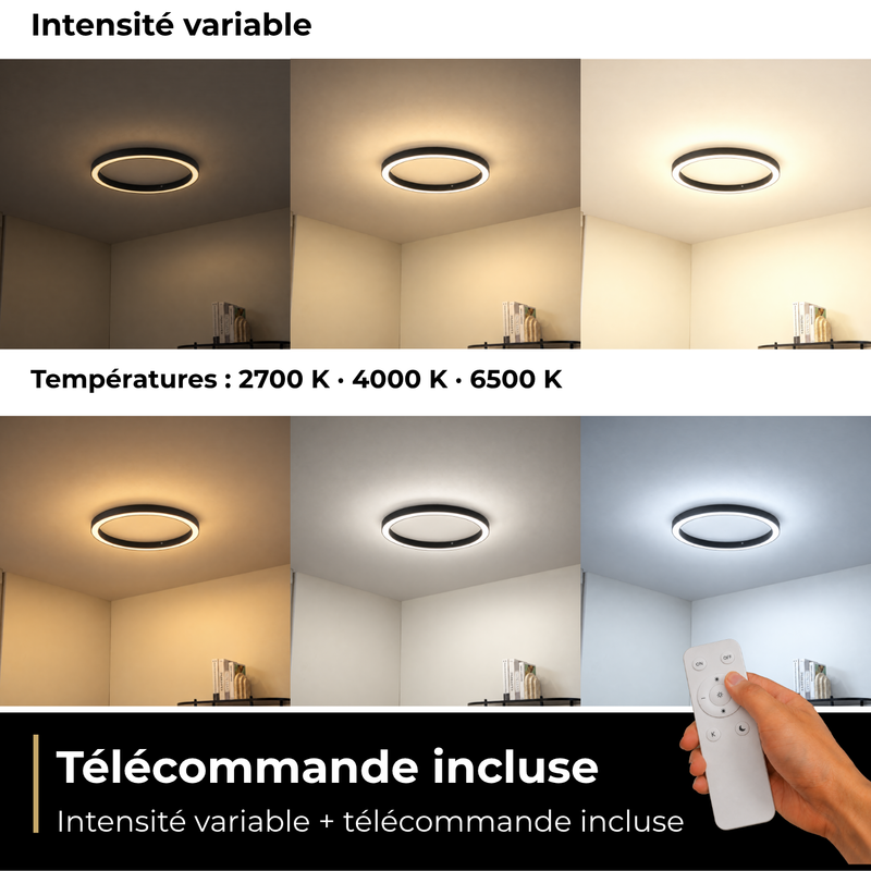Télécommande et variateur