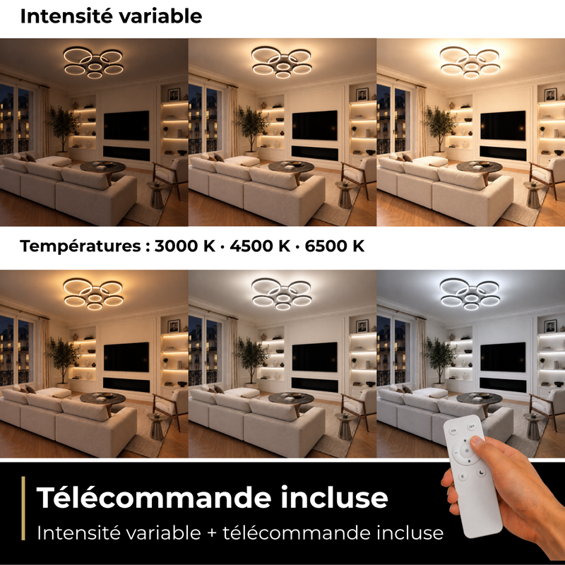 Télécommande et variateur