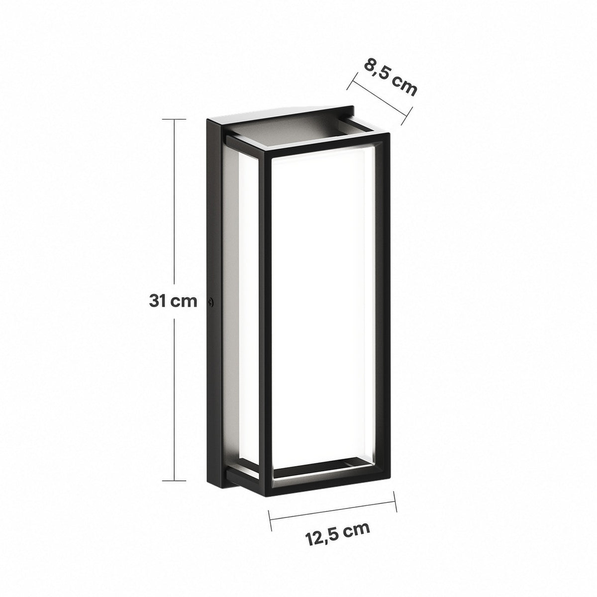Schéma des dimensions : hauteur 31 cm, largeur 12,5 cm, profondeur 8,5 cm