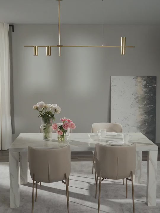 Grande suspension Galton - vidéo