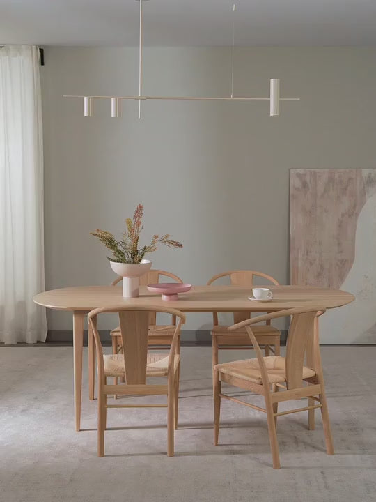 Grande suspension Galton - vidéo