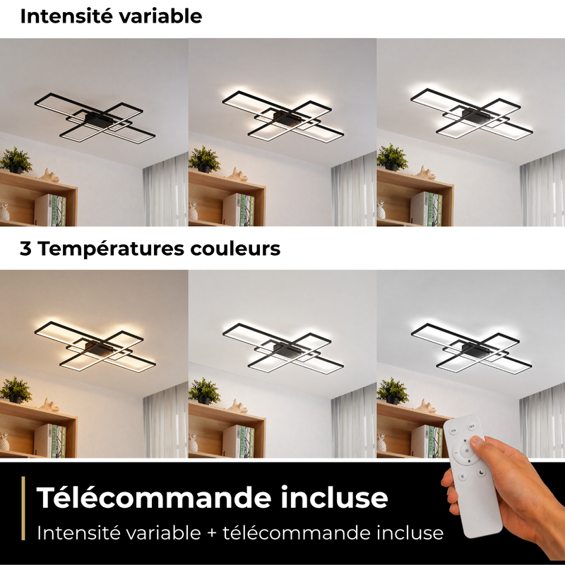 Télécommande et variateur